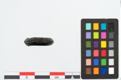Foto von Gagatringperle (NHMW-PRAE-025332)